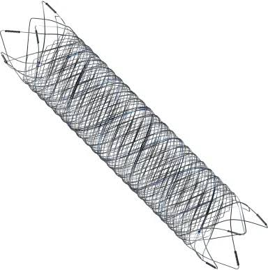 MICROVENTI0N Dual Layer Flow Diverter for Aneurysm Treatment FRED4518